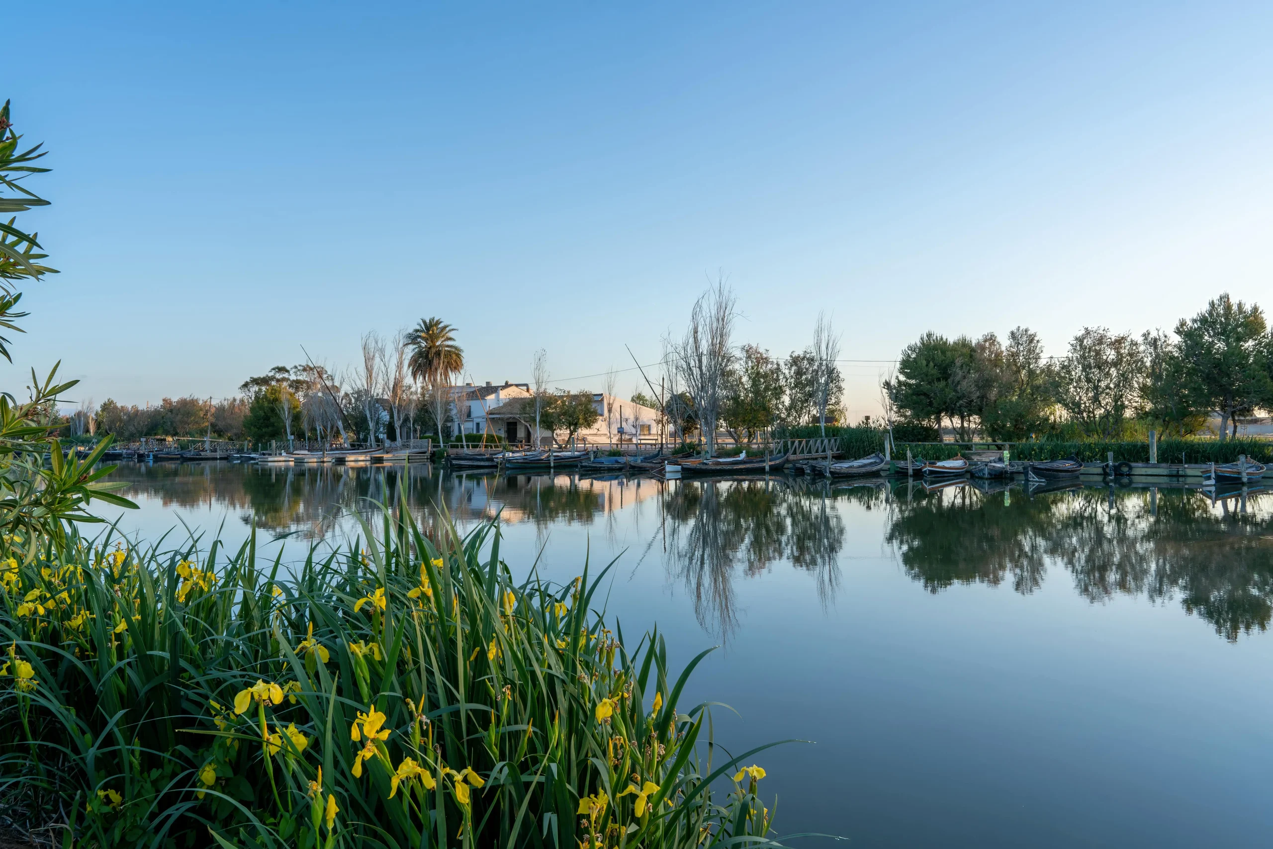 Albufera Valencia