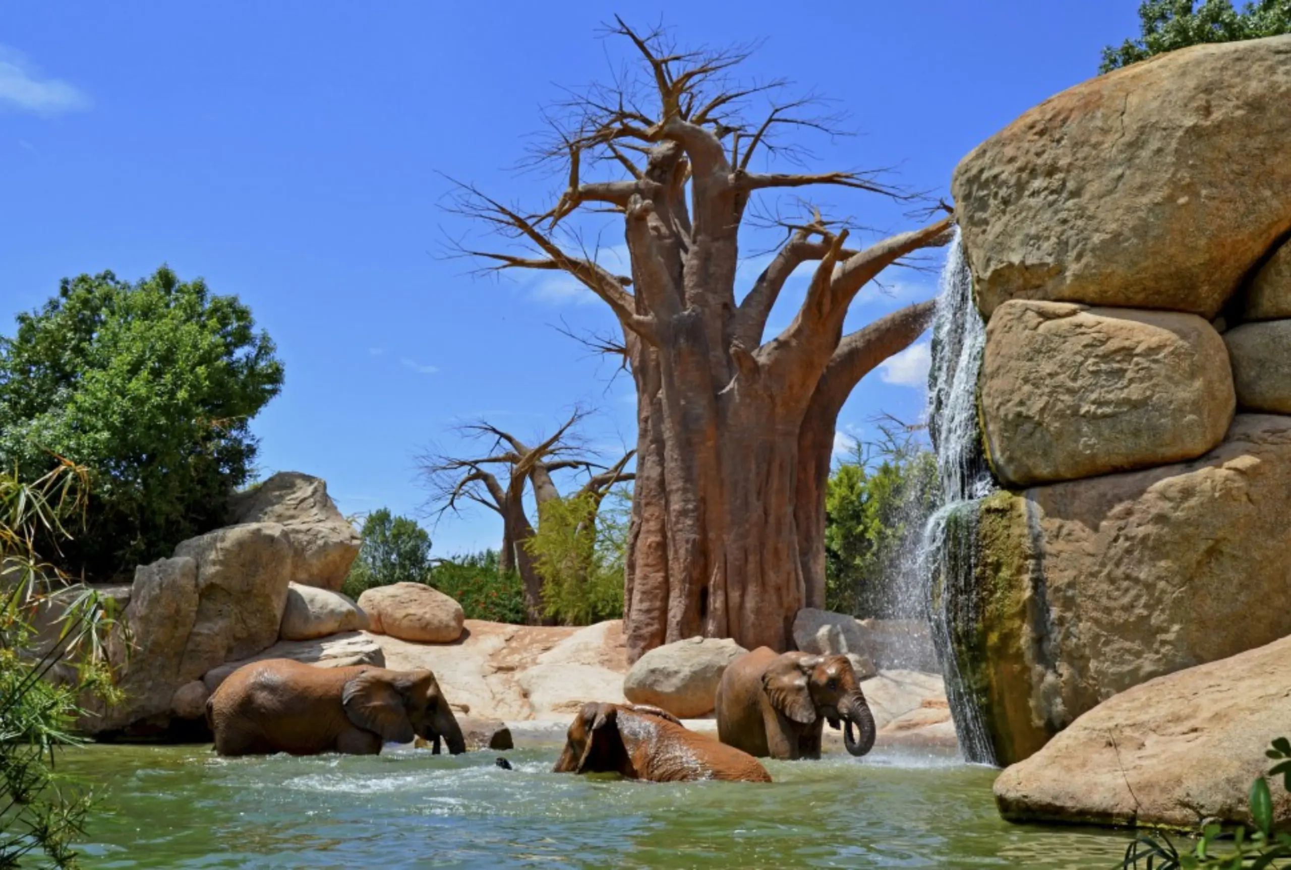 Bioparc