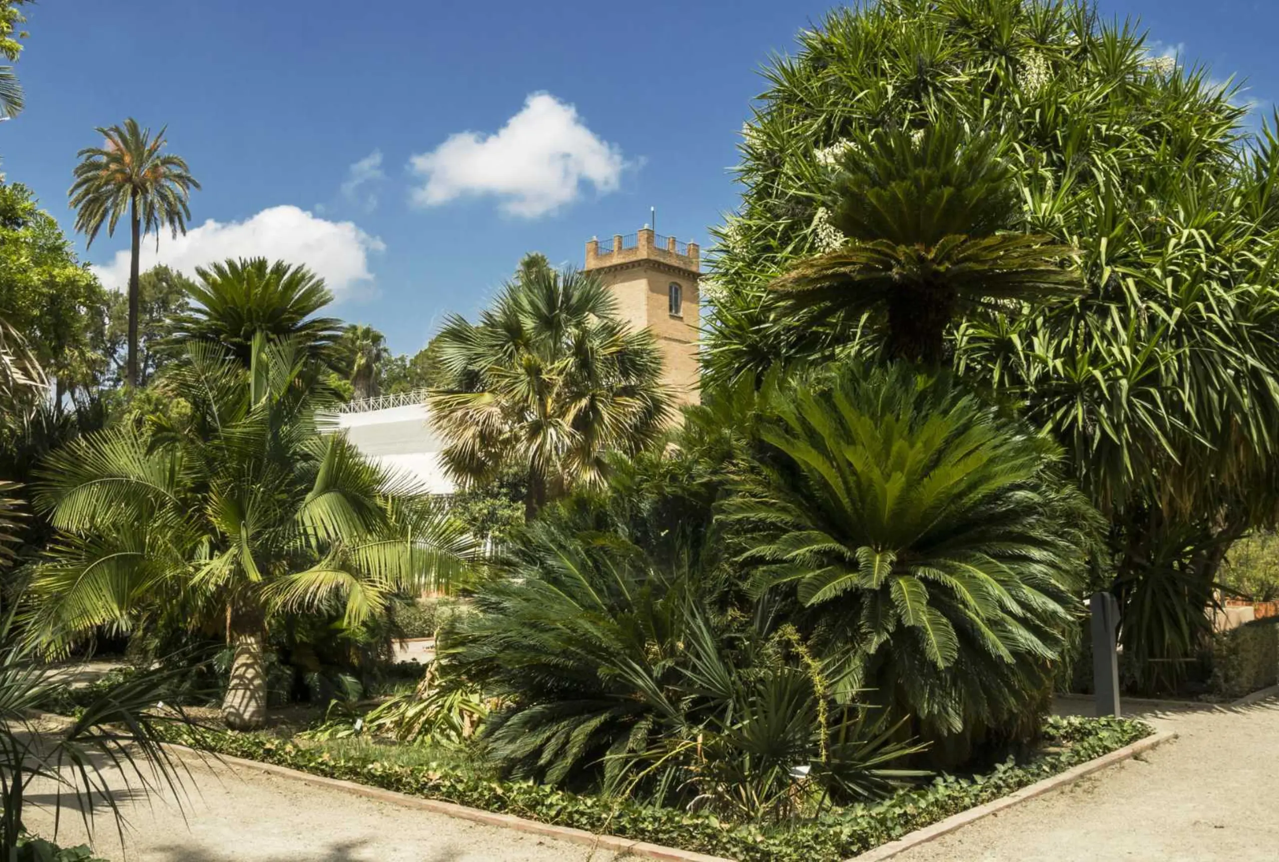 Botanic