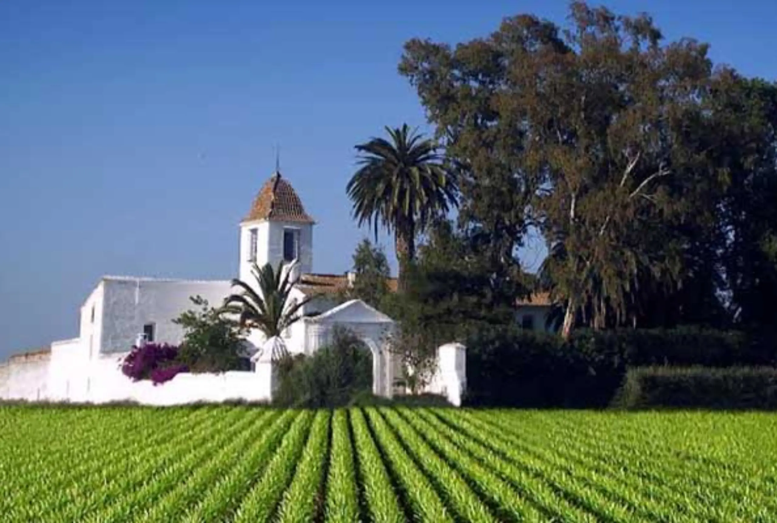 Museo de la horchata