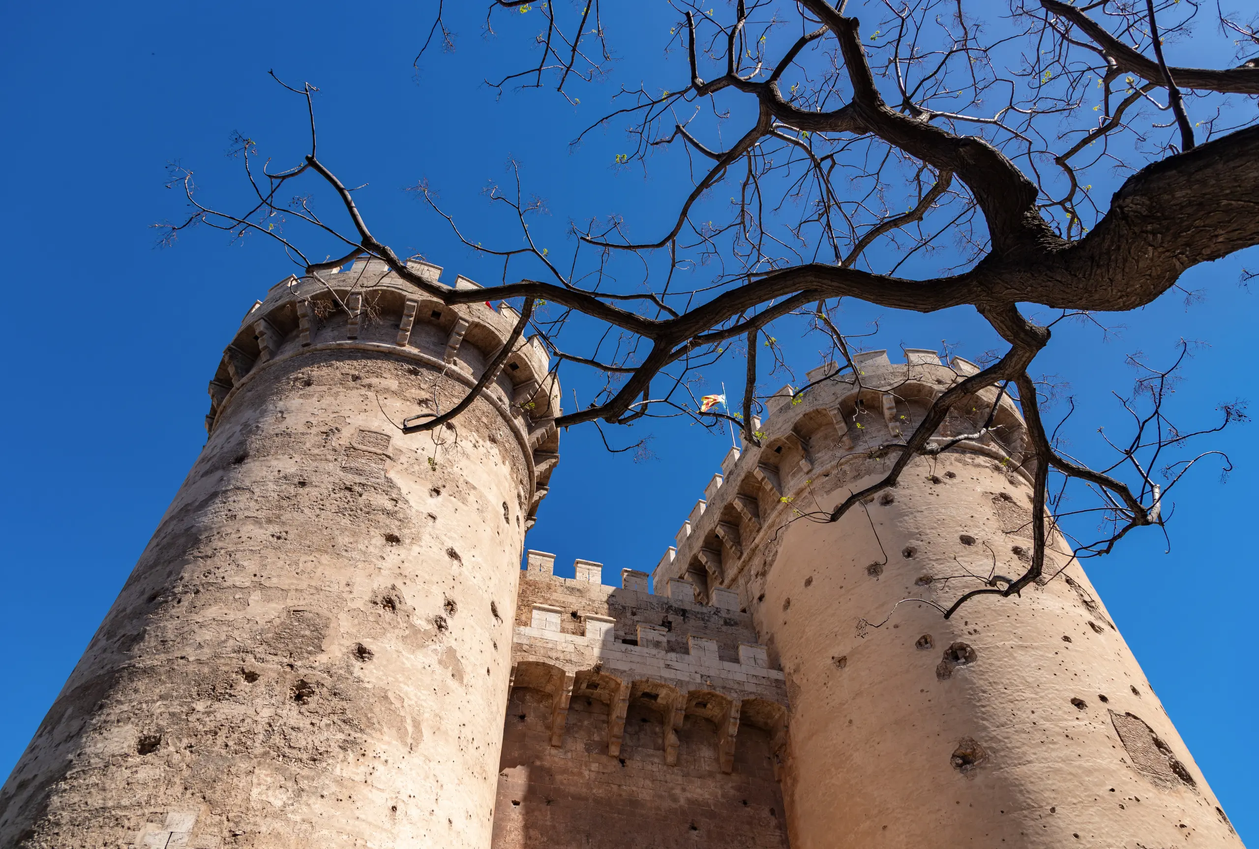 Torres de Serrano y Torres de Quart